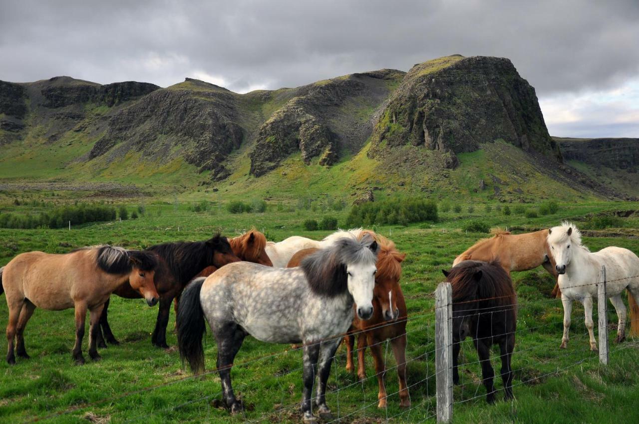LaugarasAusturbyggð 3别墅 外观 照片